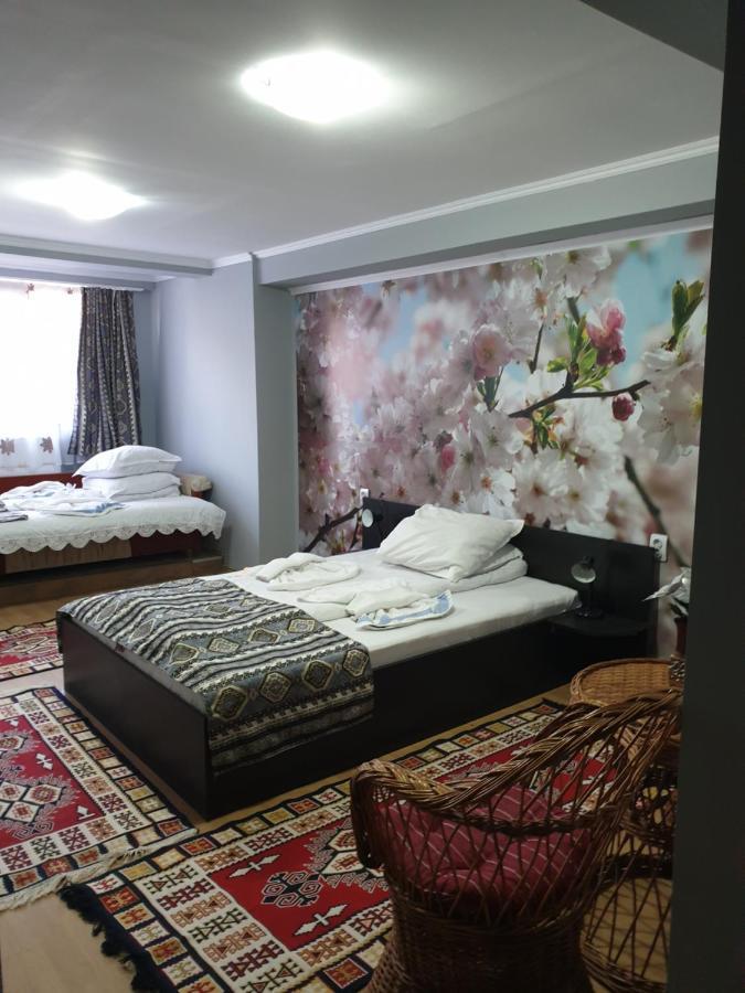 Vila Muntii Bucegi & Spa ブラン エクステリア 写真