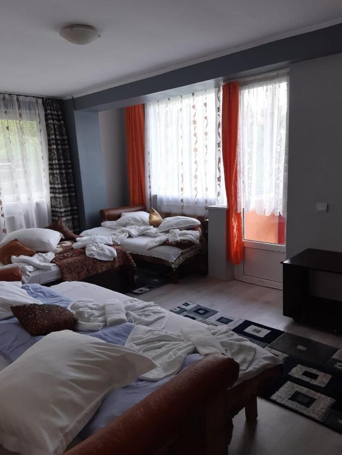 Vila Muntii Bucegi & Spa ブラン エクステリア 写真
