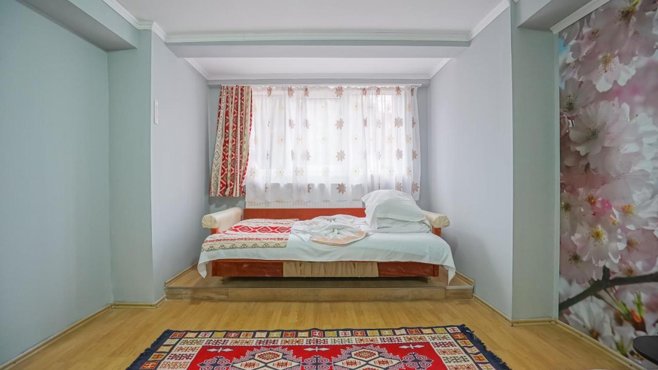 Vila Muntii Bucegi & Spa ブラン エクステリア 写真