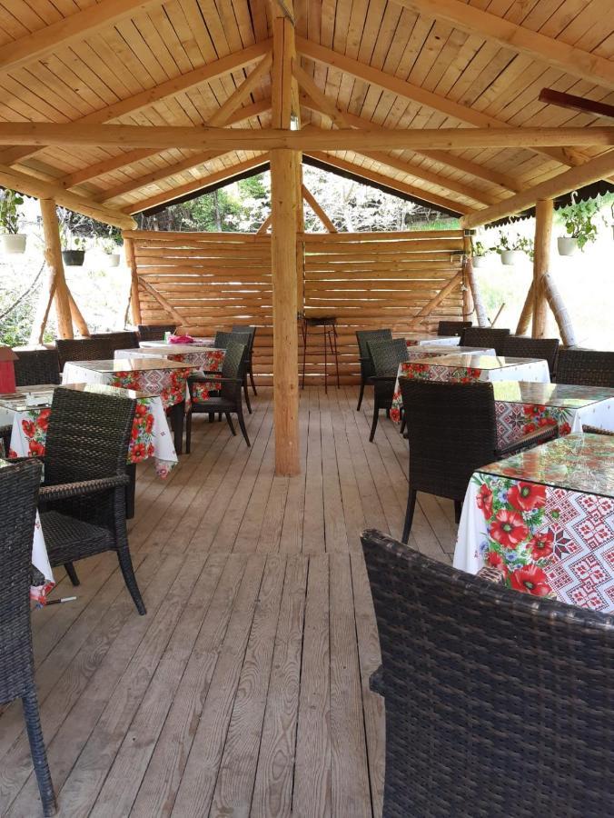 Vila Muntii Bucegi & Spa ブラン エクステリア 写真