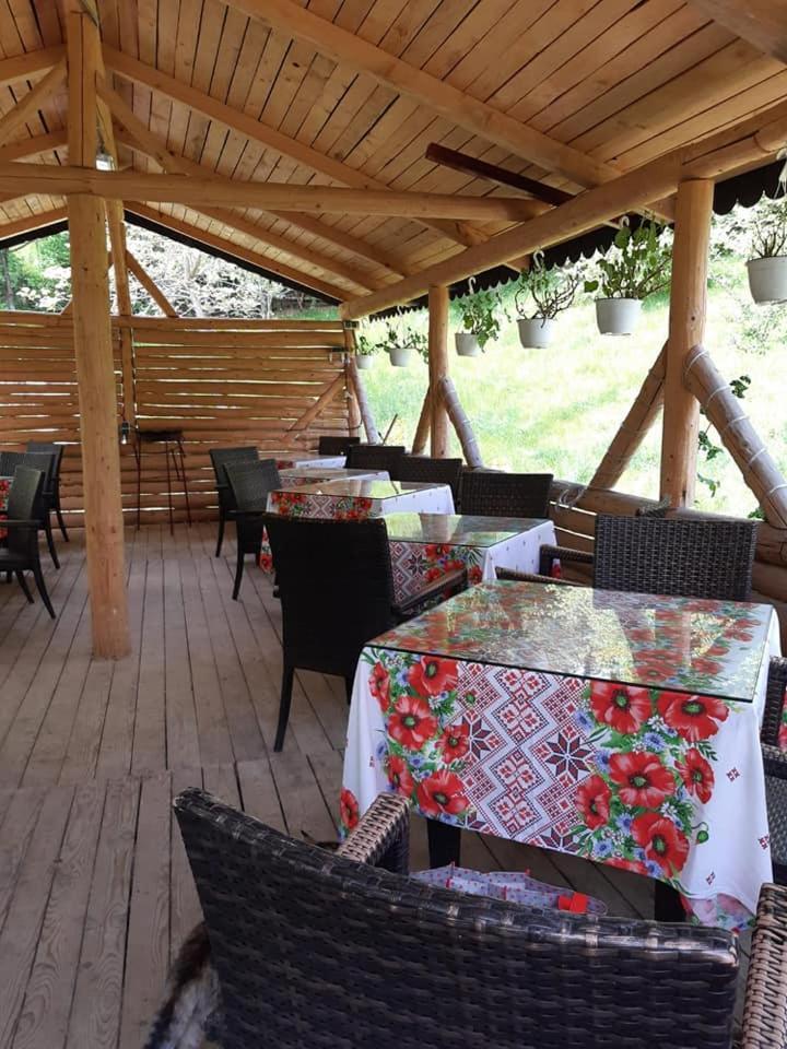 Vila Muntii Bucegi & Spa ブラン エクステリア 写真