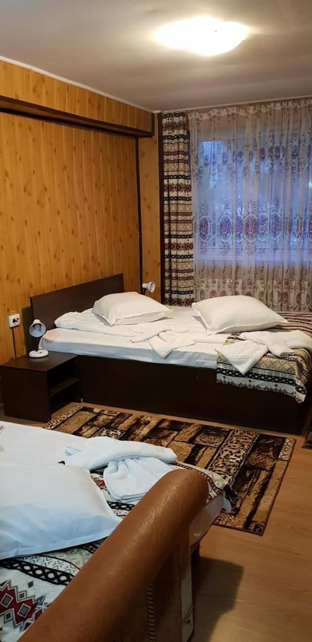 Vila Muntii Bucegi & Spa ブラン エクステリア 写真