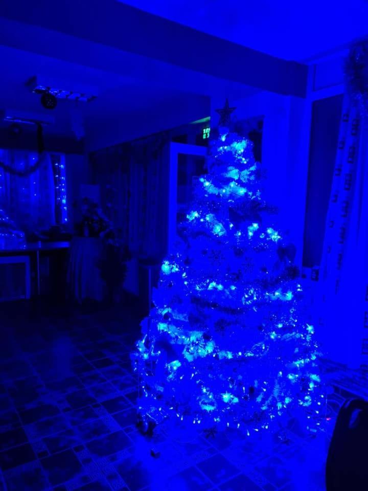 Vila Muntii Bucegi & Spa ブラン エクステリア 写真