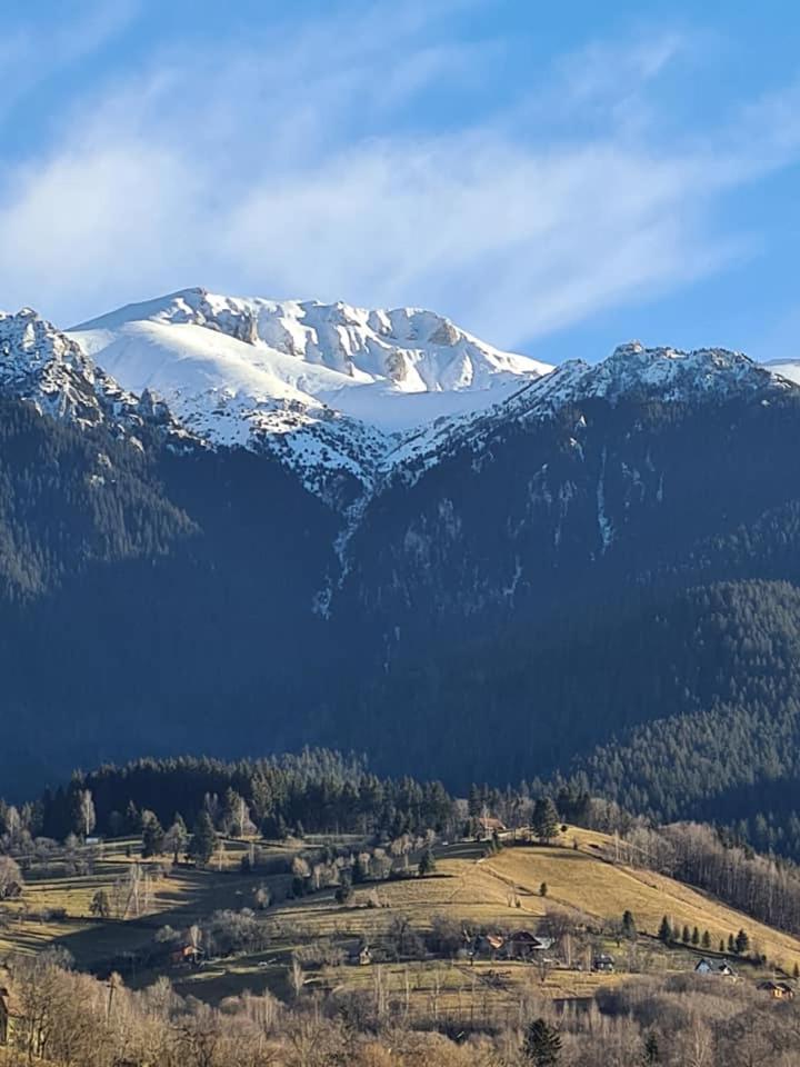 Vila Muntii Bucegi & Spa ブラン エクステリア 写真