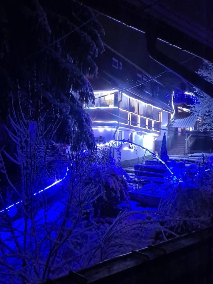 Vila Muntii Bucegi & Spa ブラン エクステリア 写真