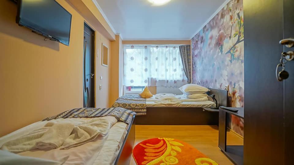 Vila Muntii Bucegi & Spa ブラン エクステリア 写真