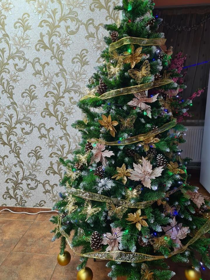 Vila Muntii Bucegi & Spa ブラン エクステリア 写真