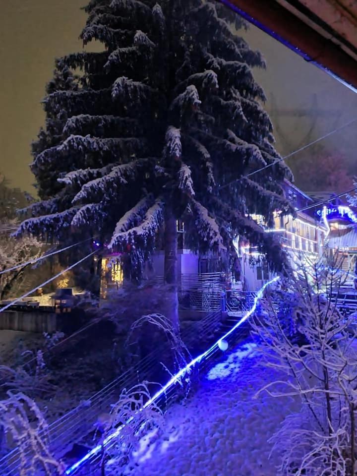Vila Muntii Bucegi & Spa ブラン エクステリア 写真