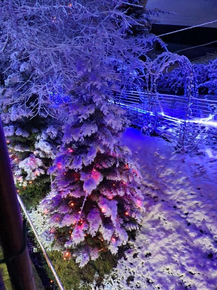 Vila Muntii Bucegi & Spa ブラン エクステリア 写真
